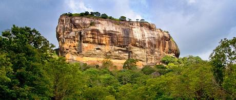 Sri Lankas Regenwald (Dschungel) von oben betrachtet