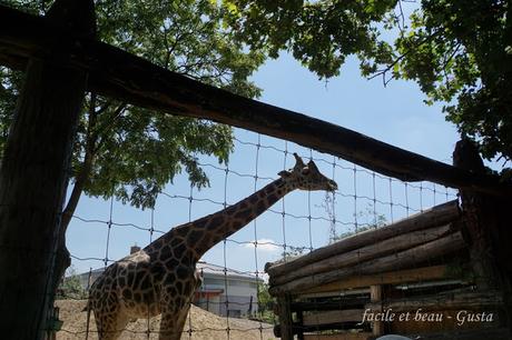 Budapest - Teil 19: Zoo (Teil 9)