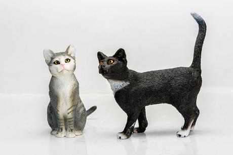 Kuriose Feiertage - 29. Oktober -Tag der Katze in den USA – der amerikanische National Cat Day (c) Sven Giese-1