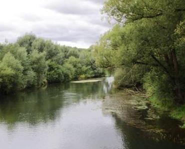 Wilde und unberührte Natur in Westfalen