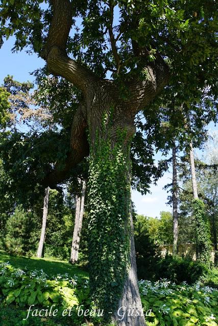 Budapest - Teil 21: Schloßgarten Gödöllö