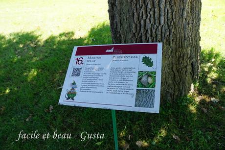 Budapest - Teil 21: Schloßgarten Gödöllö