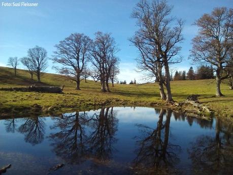 kuchl-alm-tiroler-kogel_20161028