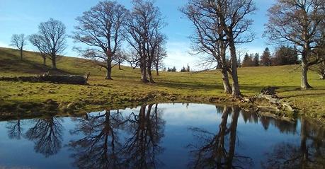 kuchl-alm-tiroler-kogel_20161028_140127