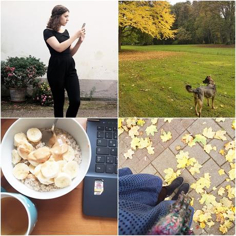 Der Monat Oktober in Instagram Bildern