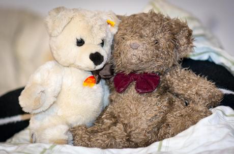 Bild von zwei echten Steiff-Teddybären - Kuriose Feiertage - 16. November - Feier-eine-Party-mit-Deinem-Bären-Tag – der amerikanische Have a Party with Your Bear Day (c) 2014 Sven Giese