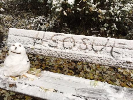 #5 Kuscheldireinen. Die Woll/Kaschmirsaison ist eröffnet!