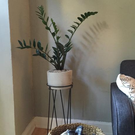 In seiner Wohnung finden sich an jeder Ecke Betontöpfe