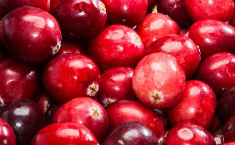 Bild Cranberries im Detail. Kuriose Feiertage - 23. November - Iss-eine-Cranberry-Tag in den USA – der amerikanische National Eat a Cranberry Day (c) 2016 Sven Giese-2