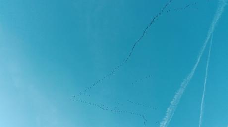 img_20161125_152213b