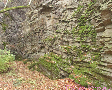 Ein tolles Paket von...