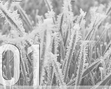 Adventskalender 2016 – Tag 01: Dr. Rama G. – Brothers. Sisters. Human.