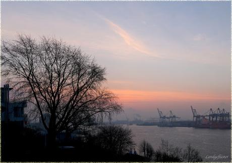 Morgenstimmung am Hafen