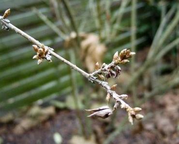 Türchen vier – St. Barbara