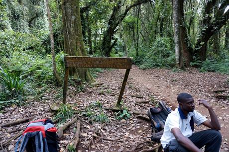 Kilimandscharo-Besteigung auf der Machame Route – Tag 1