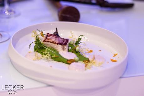 Welsfilet AEG, Taste Academy, Note to Tail, Nose to Tail 2.0, Luci, Ludwig Maurer, Electrolux, Nürnberg, Highfoodality, High Foodality, Insane in the Kitchen, Holla die Kochfee, Hola die Kochfee, Tina Kollmann, LECKER&Co, Lecker und co, leckerundco, Foodblogger, Fürth, Blogger, Foodblog, Rezept, Kochkurs. Koch kurs, Kochkurs Nürnberg, Kochkurs Fürth, Kochkurs AEG, Ente, Waller, Wels, Metzelsuppe, Brie, Mispeln, Mispel, Maronen, unterwegs, Kronfleisch