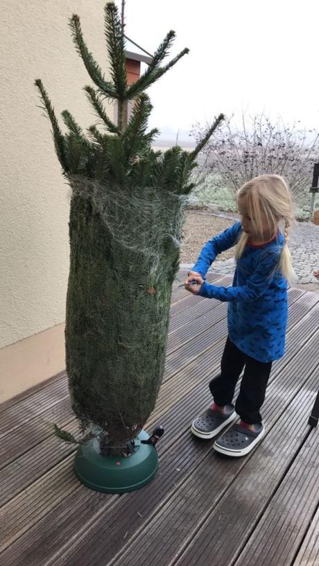 Mein Tipp: Weihnachtsbaum online kaufen bei Tante Tanne