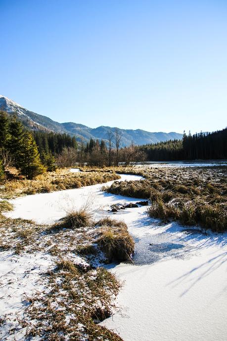 Steiermark: Vom fröstelnden Spaziergang um den Ingerinigsee, zwei Nächten in G'Schlössl Murtal und einem leckeren Essen beim Hofwirt! Steiermark: Vom fröstelnden Spaziergang um den Ingerinigsee, zwei Nächten in G'Schlössl Murtal und einem leckeren Essen beim Hofwirt!