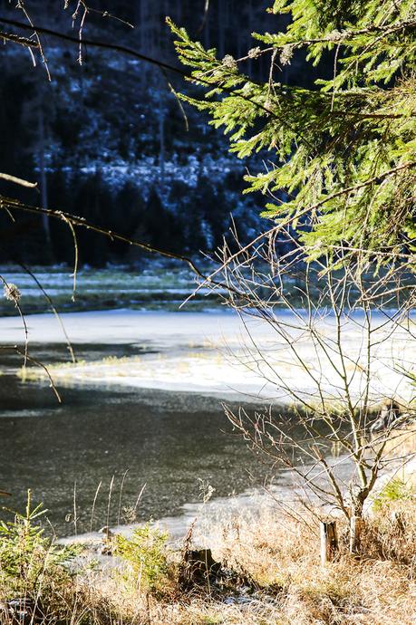 Steiermark: Vom fröstelnden Spaziergang um den Ingerinigsee, zwei Nächten in G'Schlössl Murtal und einem leckeren Essen beim Hofwirt! Steiermark: Vom fröstelnden Spaziergang um den Ingerinigsee, zwei Nächten in G'Schlössl Murtal und einem leckeren Essen beim Hofwirt!
