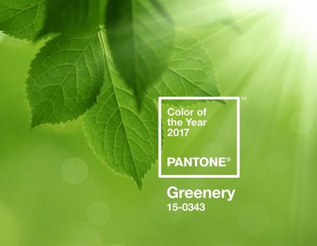 Farbe des Jahres 2017: PANTONE 15-0343 Greenery