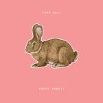CD-REVIEW: Thom Hell – Happy Rabbit