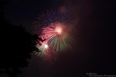 How to: Photograph firework