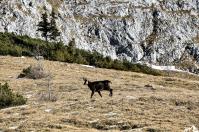 Pfaffenkegel: Wanderung mit Watzmannblick