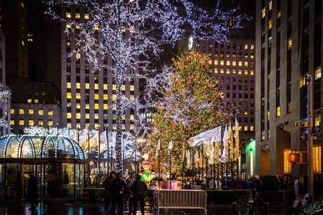 Kuriose Feiertage - 19. Dezember - Such-einen-Weihnachtsbaum-Tag – der amerikanische Look for an Evergreen Day - 1 - (c) 2014 Sven Giese