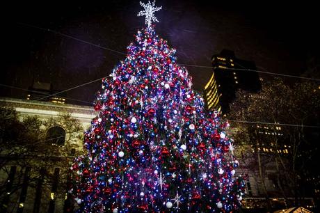 Kuriose Feiertage - 19. Dezember - Such-einen-Weihnachtsbaum-Tag – der amerikanische Look for an Evergreen Day - 2 - (c) 2014 Sven Giese