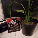 Mein Review zum Alcatel Shine Lite