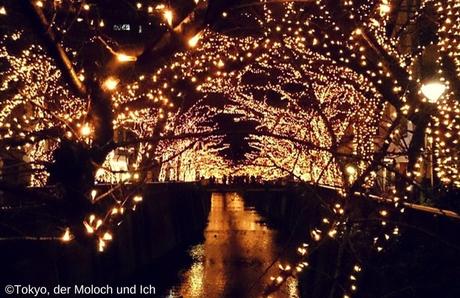 Weihnachten in Japan - Tokyo, der Moloch und ich