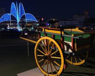 Algarve hat 2016 die sonnigsten Weihnachten Europas