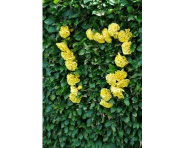 Die Jahre mit der 17