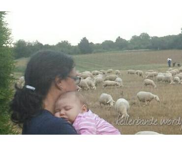 Fürsorglicher Kassierer – UNTypisch mit Kellerbande