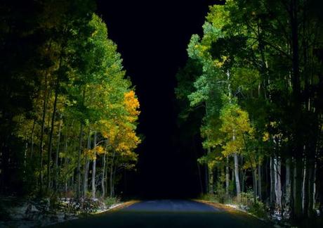 Licht statt Lack: Ein Lexus mit 42.000 LEDs