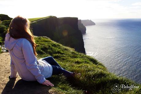 Behyflora auf den Cliffs of Moher