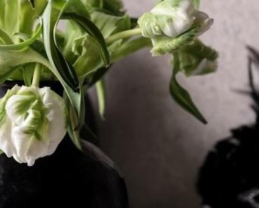 Flowers | Die ersten Tulpen im neuen Jahr