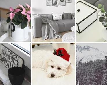 Instagram Rückblick - Dezember