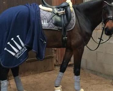 10 Fakten über Fiete