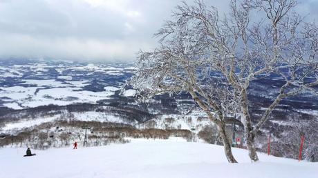 Shabu Shabu im Schneesturm: Diese magische Nacht in Niseko