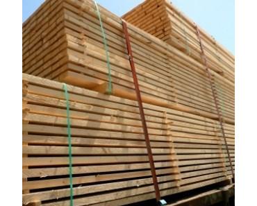 Der ideale Helfer bei Möbeltransporten