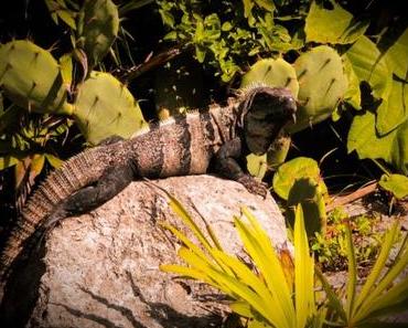 Blogparade Die schönsten Fotos 2. Halbjahr 2016