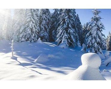 Bild der Woche: Winterlandschaft Mariazellerland