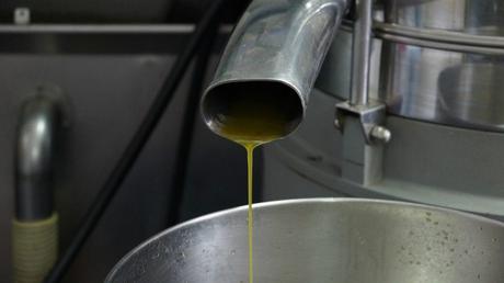 Der immer wiederkehrende Olivenöl Skandal