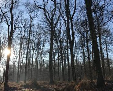 What’s Left | KW03/2017