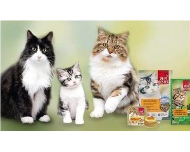 Neues von DM /Insider