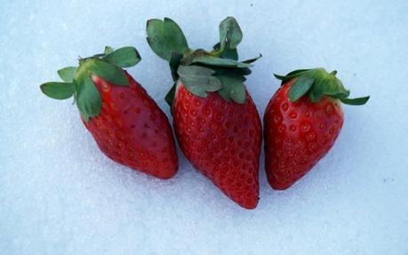 Erdbeeren im Schnee