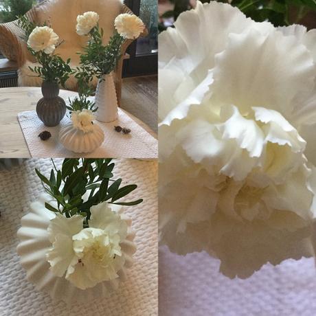 Friday-Flowerday – oder – Rosen, Tulpen, NELKEN…