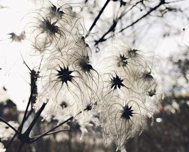 What’s Left | KW04/2017