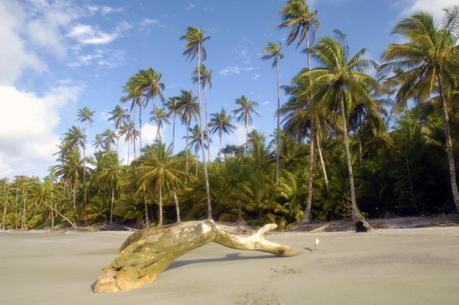 Die 8 Coolsten Inseln Kolumbiens